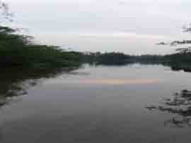 ছবি